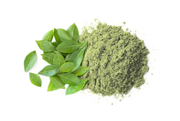 Poudre de henne neutre sur fond blanc