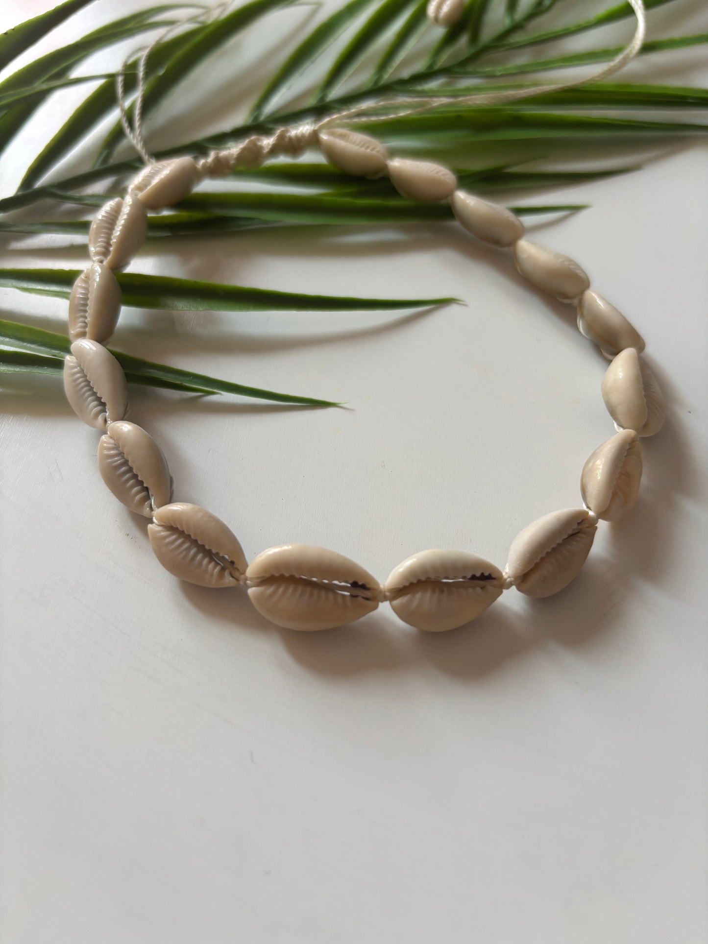 Collier coquillage ras de cou